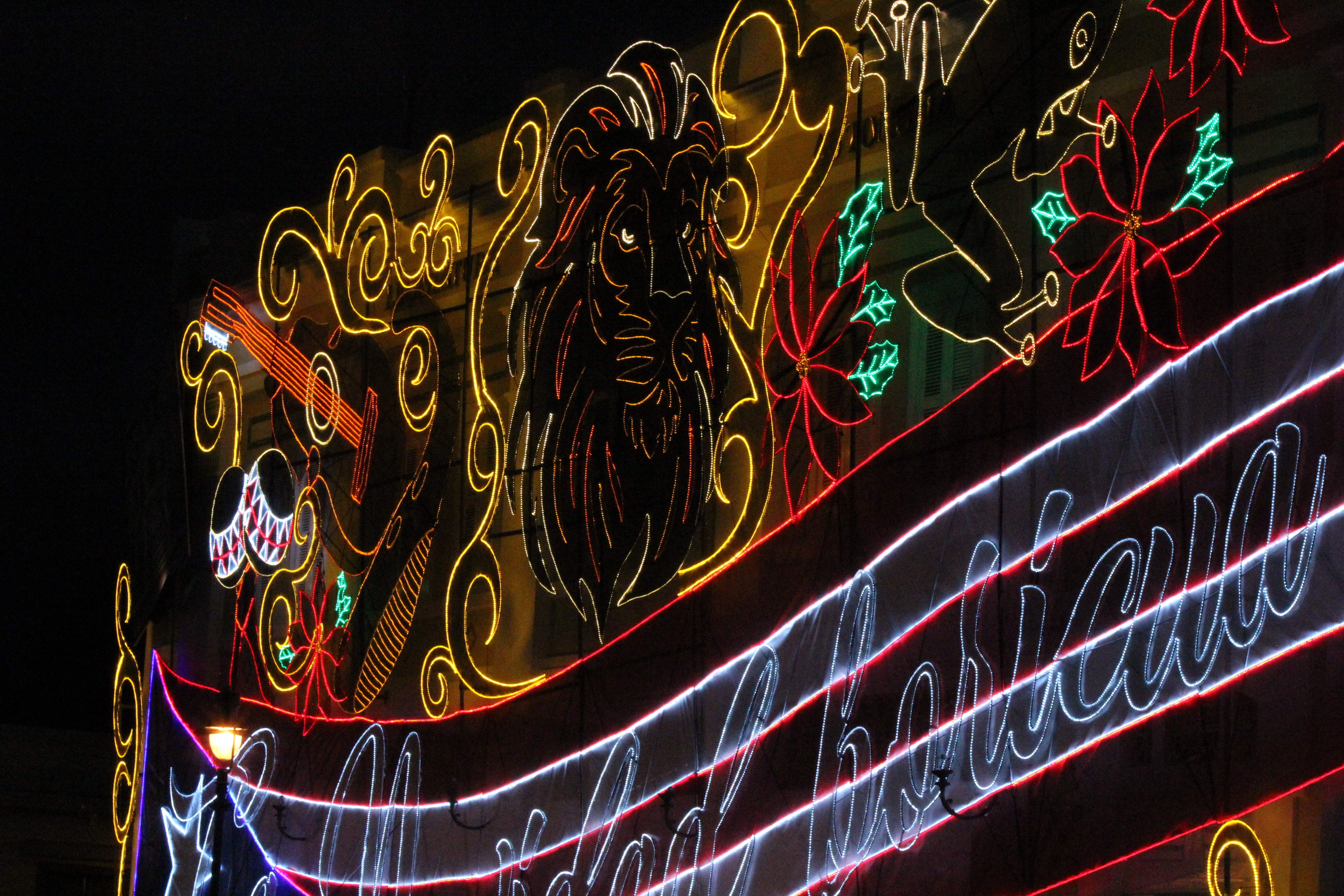 Lion light decoration at night