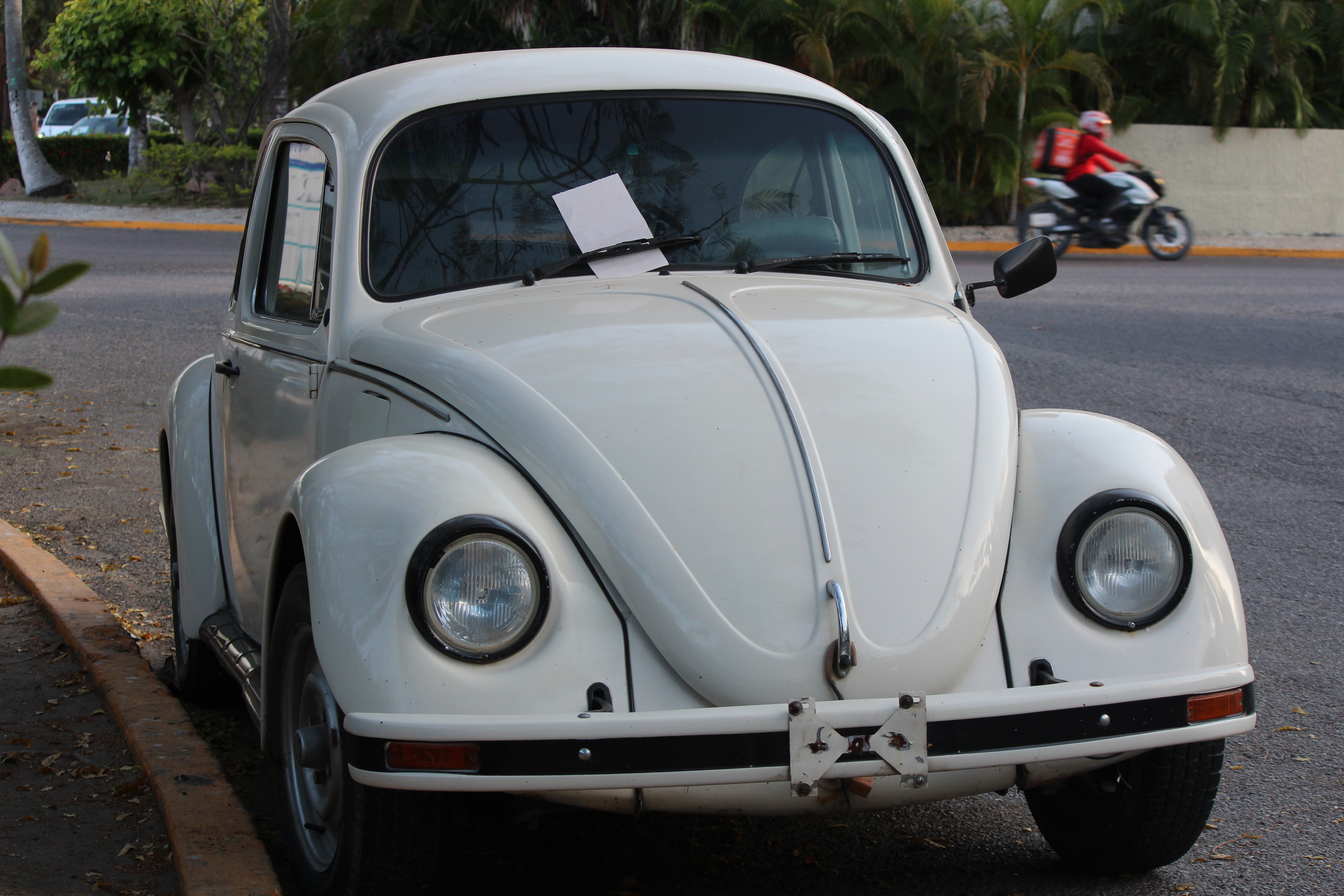 Vintage slug bug car
